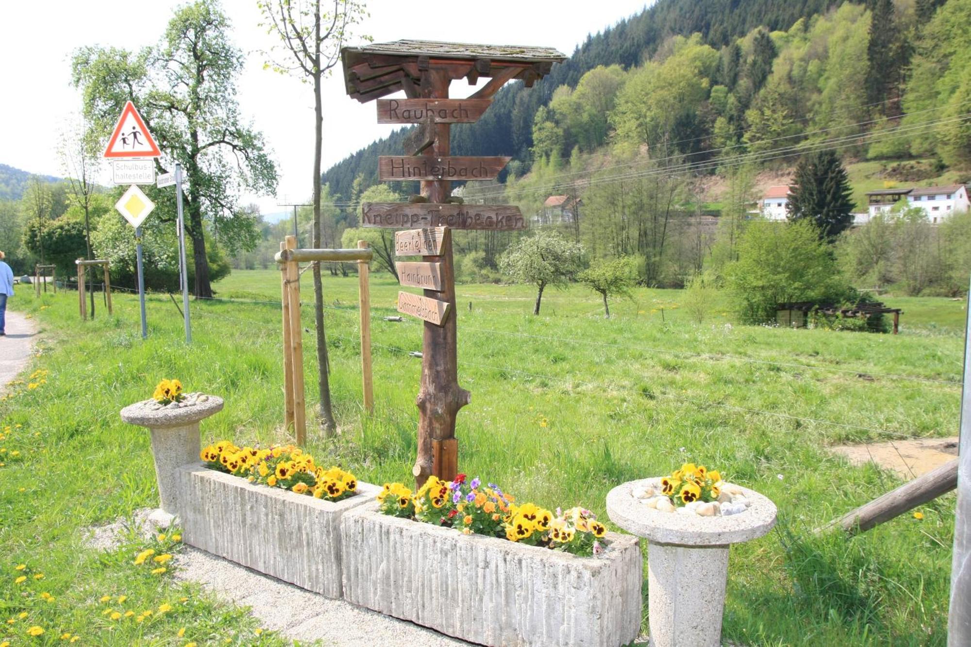 Gasthof Zur Traube Finkenbach Extérieur photo