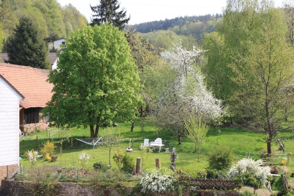 Gasthof Zur Traube Finkenbach Chambre photo